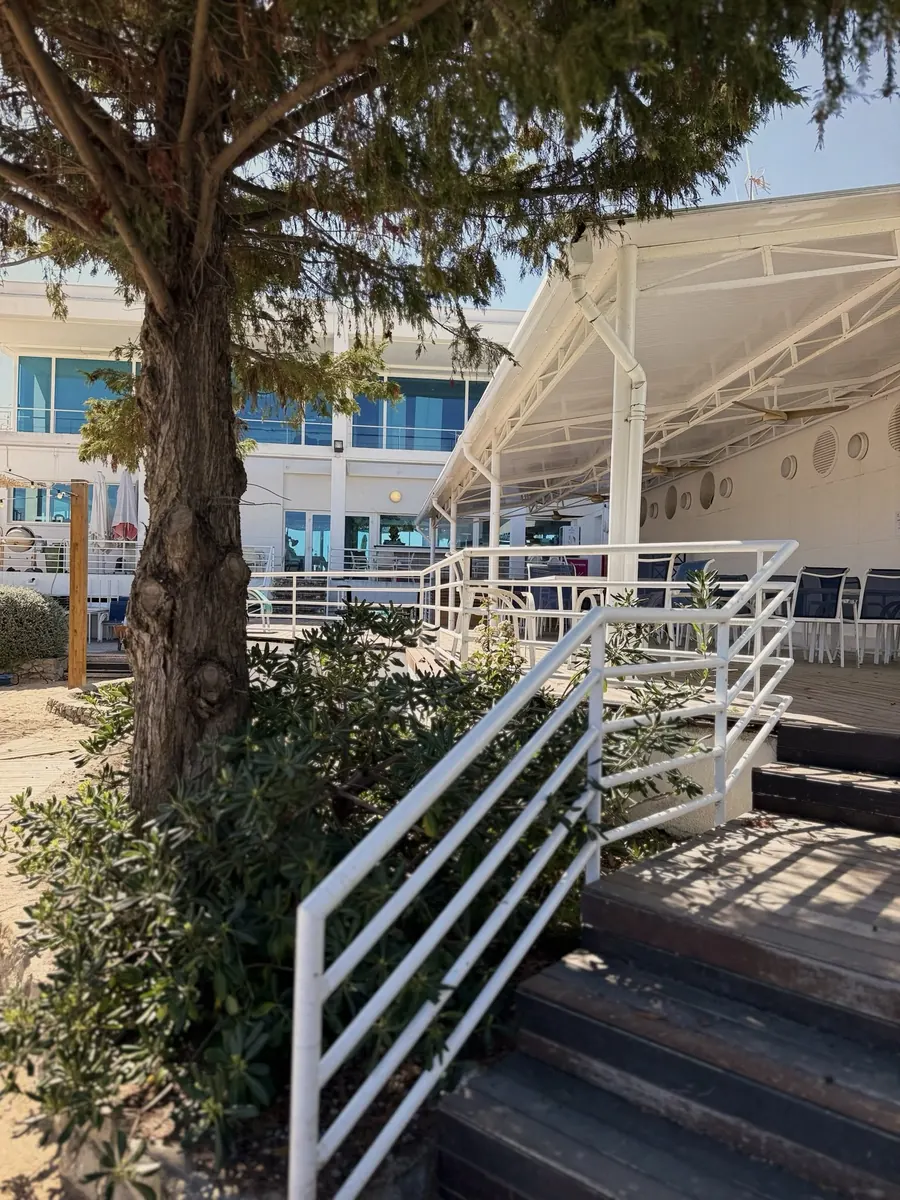 The Oasis area with a staircase, a white awning and a pine